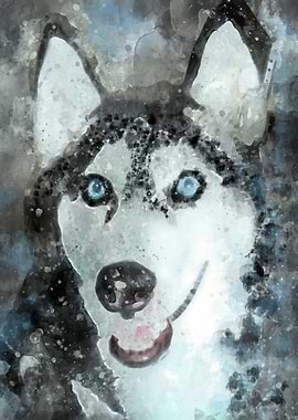 Tika ani our SiberianHusky