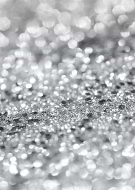 Silver Gray Lady Glitter 1