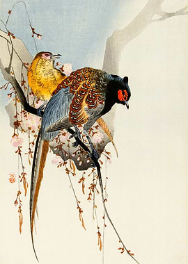 Pheasants on tree woodcut