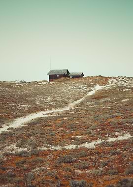 The house on the hill