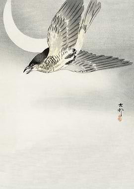 Cuckoo flying at night art