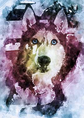 Tika ani our SiberianHusky