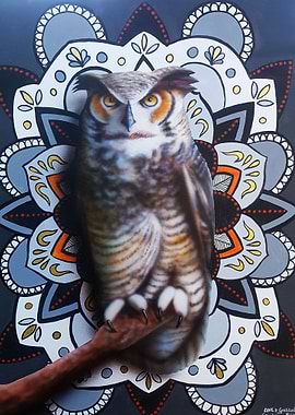 Owl Mandala 2