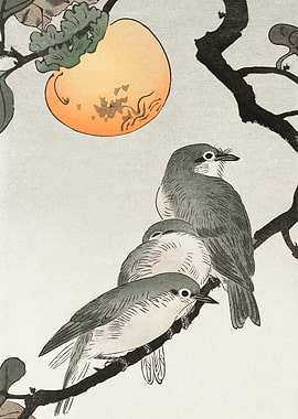 Birds on kaki tree woodcut