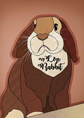 My Lop Rabbit