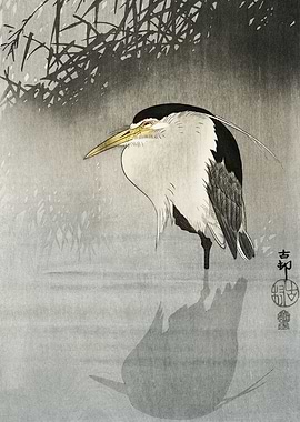 Heron in swamp water print