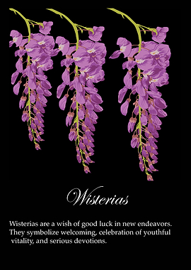 Wisteria poster