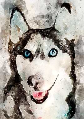 Tika ani our SiberianHusky