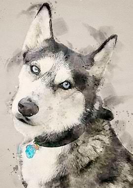 Tika ani our SiberianHusky