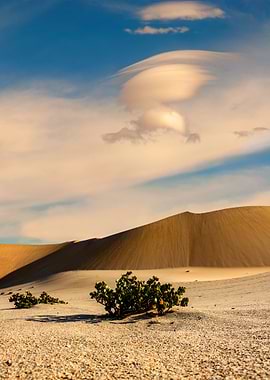 sand dunes