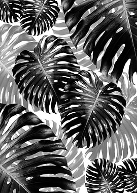 Tropical Monstera Jungle 3
