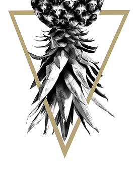 Pineapple Geo 1