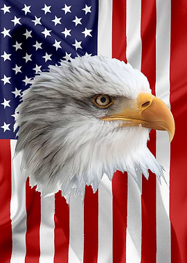 American Eagle Flag 10