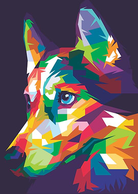 Husky WPAP