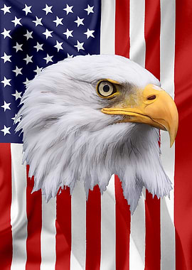 American Eagle Flag 11