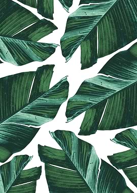 Tropical Banana Leaves 4