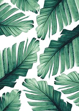 Tropical Banana Leaves 3