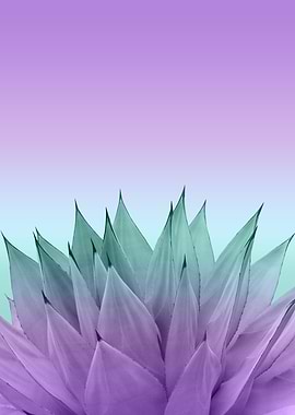 Agave Vibes 7