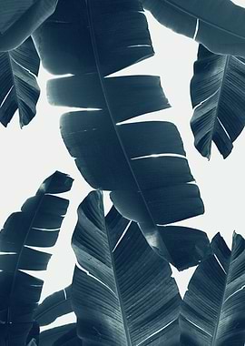 Banana Leaves Green Blue 2