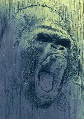 Gorilla