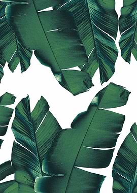 Banana Leaves Tropical 5
