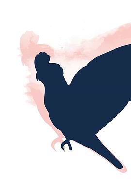 Blue and Pink Parrot