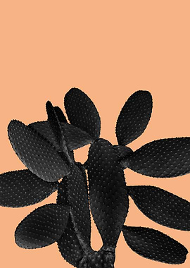 Black Pastel Orange Cacti