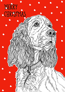 Spaniel Christmas Greeting