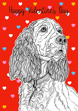 Spaniel Valentines Day