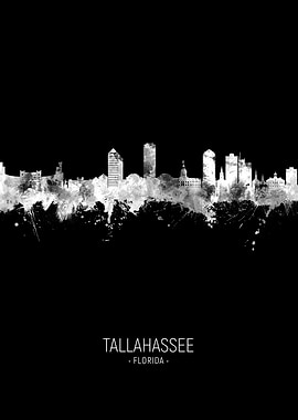 Tallahassee Skyline