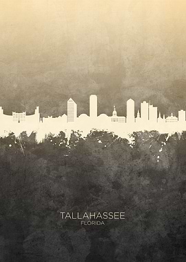 Tallahassee Skyline
