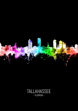 Tallahassee Skyline