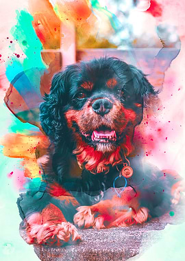 Cavalier King Charles