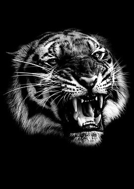 angry wild tiger head