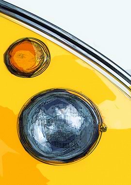 The yellow and the white