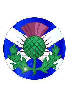 Scotish Flag And Thistle