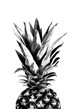 Pineapple Black White 1