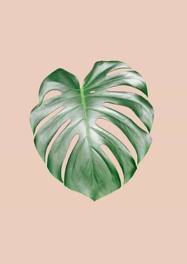 Monstera Dream 2