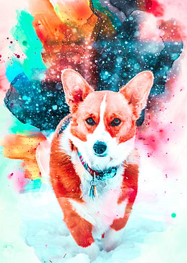 Welsh Corgi