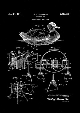 patent duck Johnson