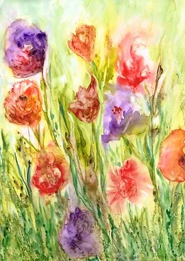 Summer Flowers