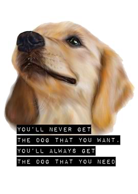 You get the dog you need