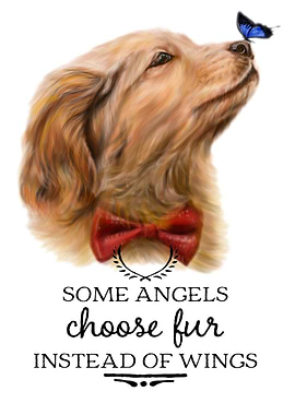 Some angels choose fur