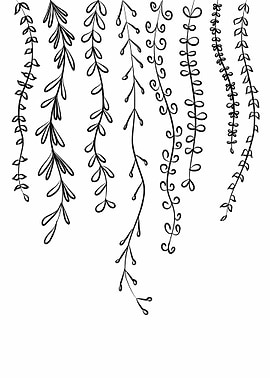 Vines Line Drawing