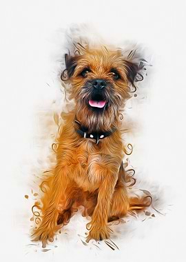 Border Terrier
