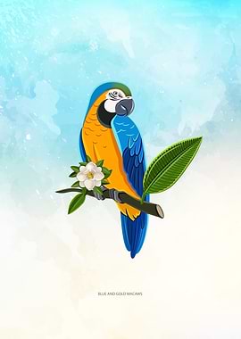 Blue and Gold Macaw