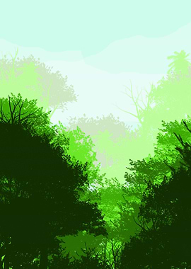 The Green Tropical Forest