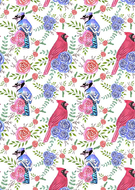 Cardinals and blue jays