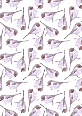 American Bushtit bird