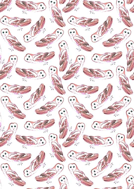 Barn owl or Tyto alba bird